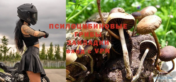 PSILOCYBIN Алексин