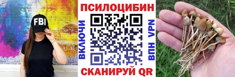 hydra как зайти  Ноябрьск  Псилоцибиновые грибы Magic Shrooms 